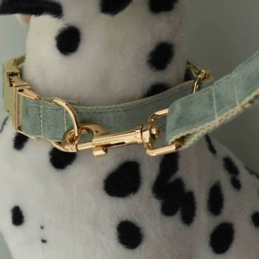 The Luxury Dog/Cat Set with Leash, Bow Tie, and Leash